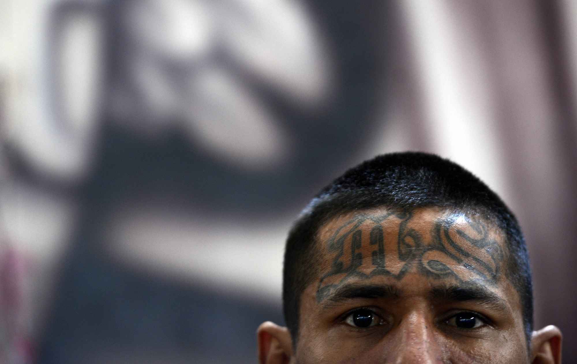 Datos oficiales de la Dirección General de Centros Penales cifran en unos 9 000 los privados de libertad  activos de la Mara Salvatrucha. Es, de largo, la estructura criminal con mayor membresía e implantación en El Salvador. Foto José Cabezas (AFP).