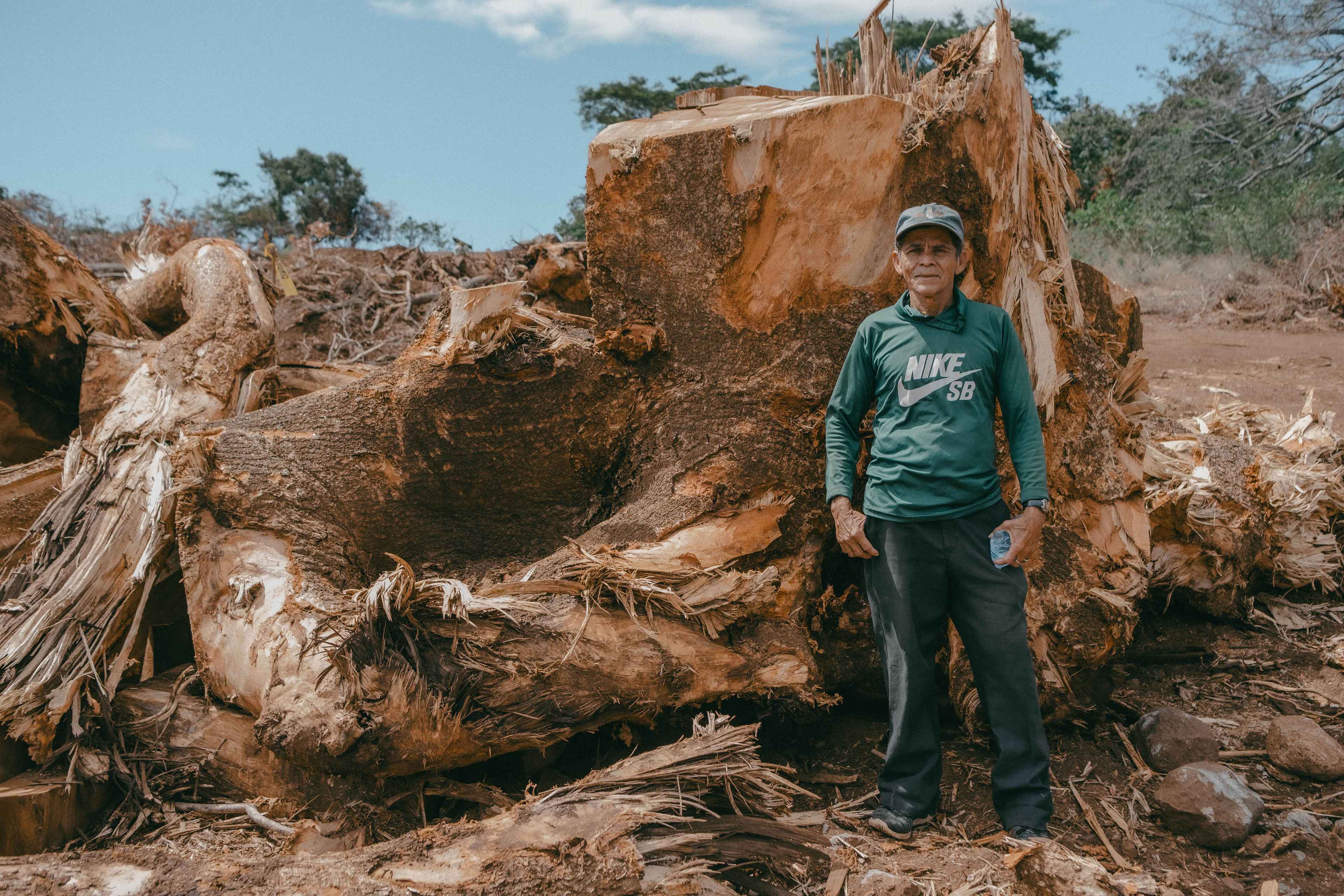 José Candelario Gavidia, de 63 años, es presidente del Movimiento Indígena para la Articulación de las Luchas de los Pueblos Ancestrales. José denuncia que a finales de diciembre del 2024 maquinaria pesada llegó al área donde se construirá el Aeropuerto del Pacífico y talaron indiscriminadamente árboles centenarios que rodeaban el nacimiento de agua que abasteció a la comunidad de Condadillo por décadas. "Mire el tamaño que tiene los árboles que han botado, yo le aseguro que si alguien de pobre tala un árbol rápido se lo llevan preso, pero mire ellos toda la destrucción que hicieron aquí", dijo. 