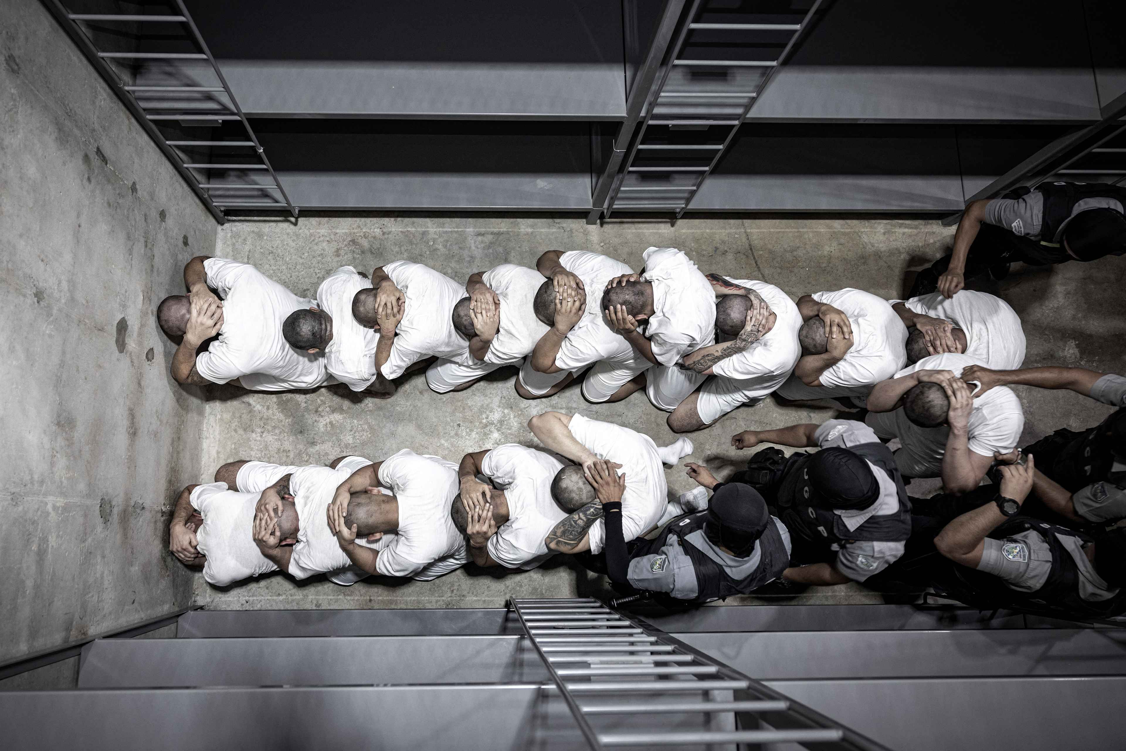 This image was released by the Nayib Bukele administration, purportedly of Venezuelans deported from the United States by Donald Trump and jailed in El Salvador's CECOT prison. Photo: Press Secretariat of the Presidency