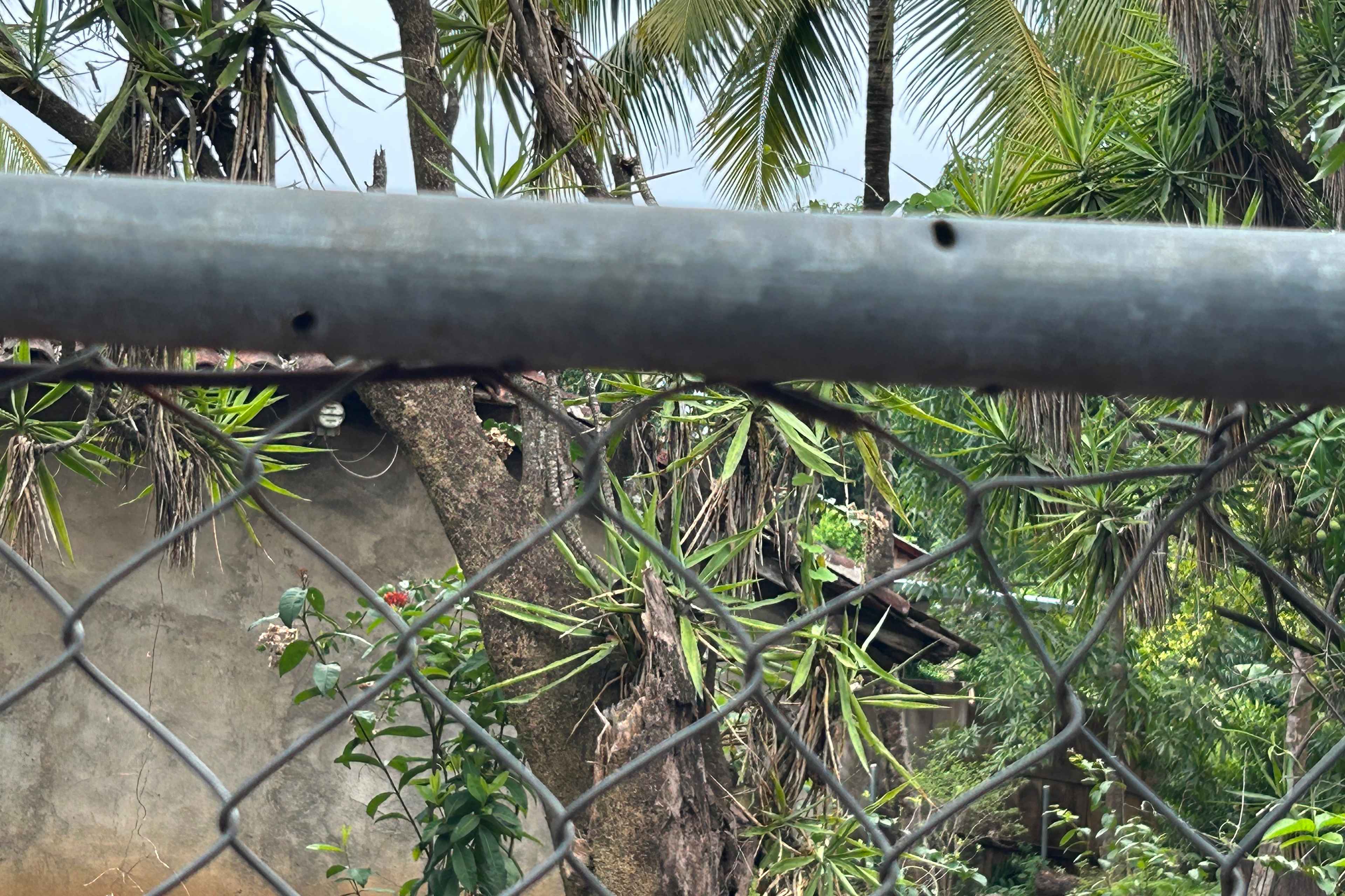 El Salvador: Régimen de Bukele ha enterrado a reos sin condena en fosas comunes 4 Fosas comunes 9